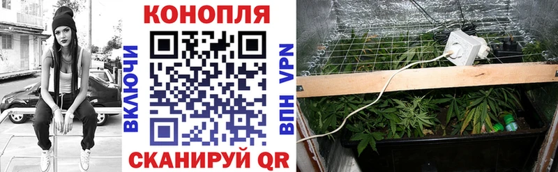 Названия наркотиков Ишим Cocaine  LSD-25  Гашиш  МЕФ  АМФЕТАМИН  Псилоцибиновые грибы 