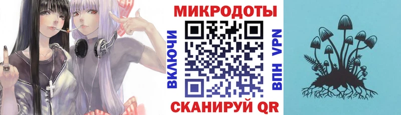 Псилоцибиновые грибы Psilocybe  где найти наркотики  Ишим 